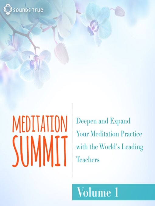 Cover image for The Meditation Summit, Volume 1